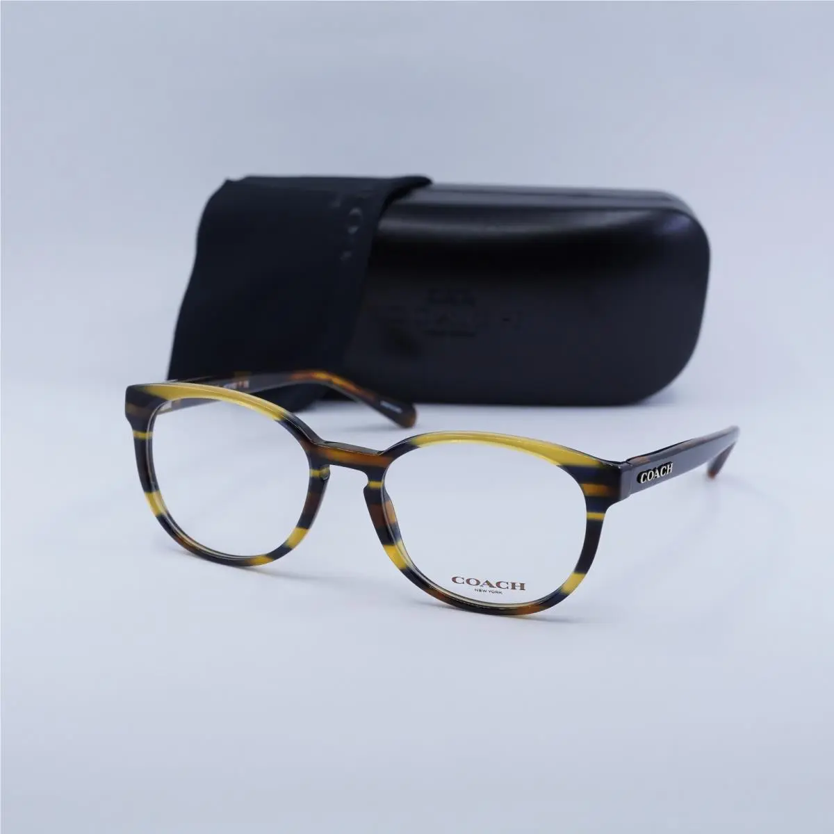 HC6102 5441 Blue Honey Glitter Varsity Stripe 51mm Eyeglasses by Coach