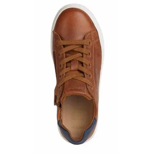 Geox shoes - Cognac/Navy 3
