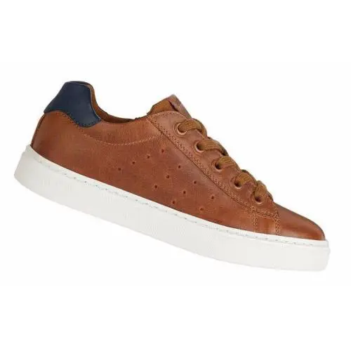 Geox shoes - Cognac/Navy 5