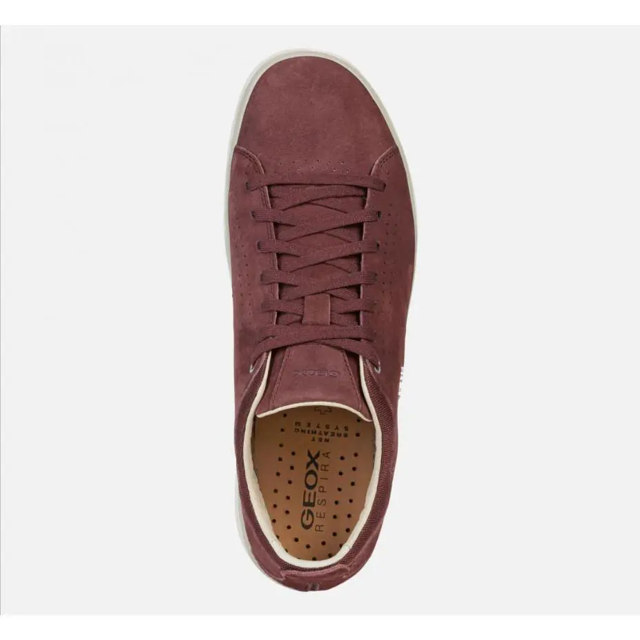 Geox shoes - Navy