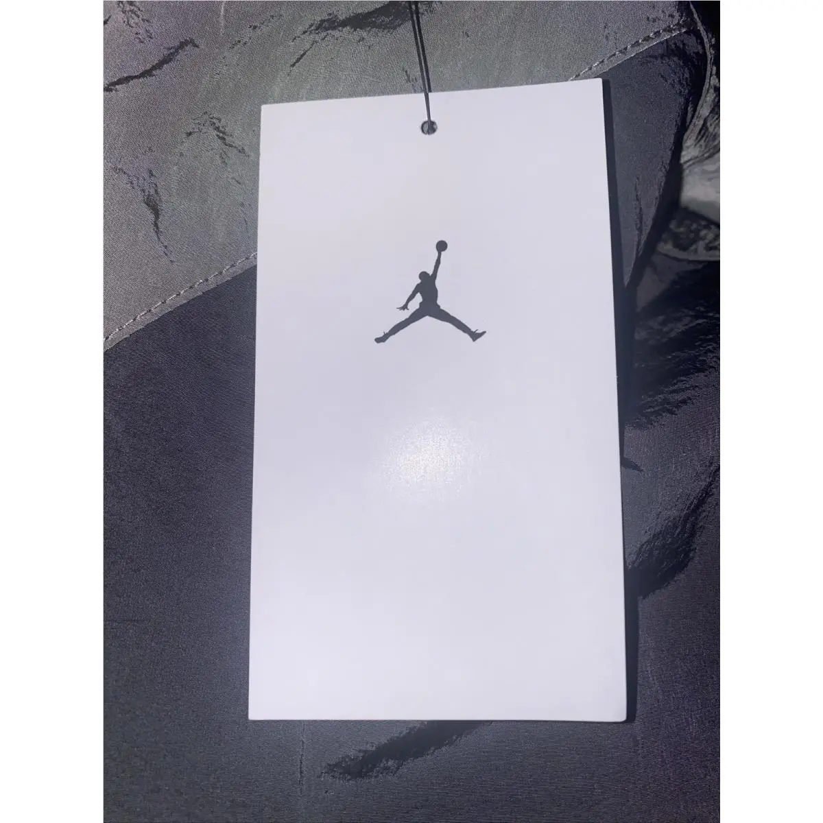 Nike clothing - DD7063-010 - DD7063-010 - Gray (UPC: 0195239804793) 6