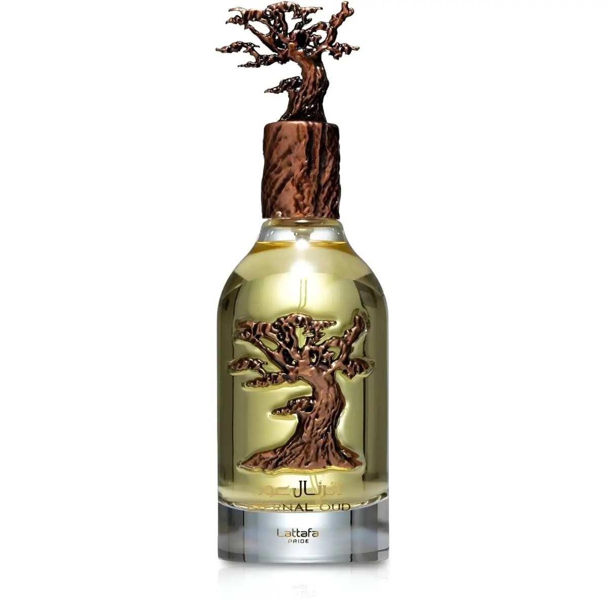 Lattafa Eternal Oud Amber Fragrance 3.4 Fl Oz Long Lasting Unisex Perfume