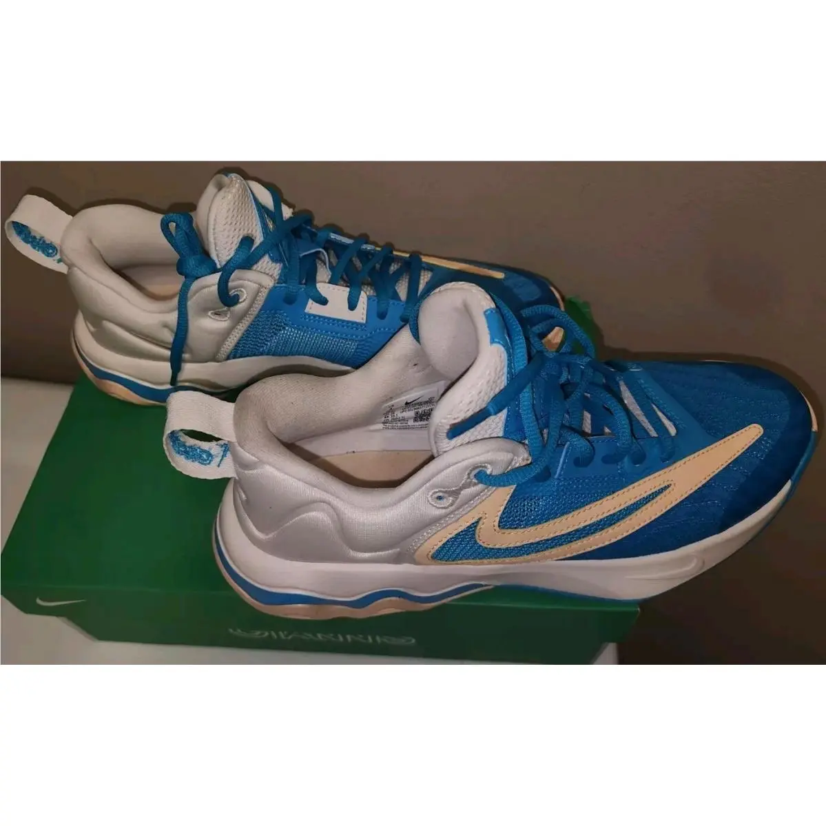 Nike shoes - Nike Giannis Immortality - Giannis Immortality - DZ7533-002 - Blue (UPC: 0196607713181) 1