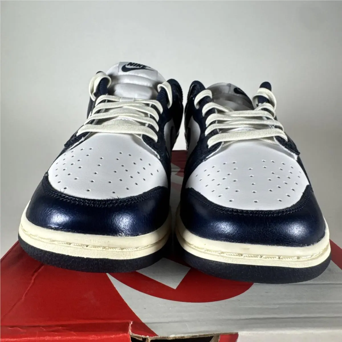 Nike shoes - Nike Dunk - Dunk - FN7197-100 - Blue 1