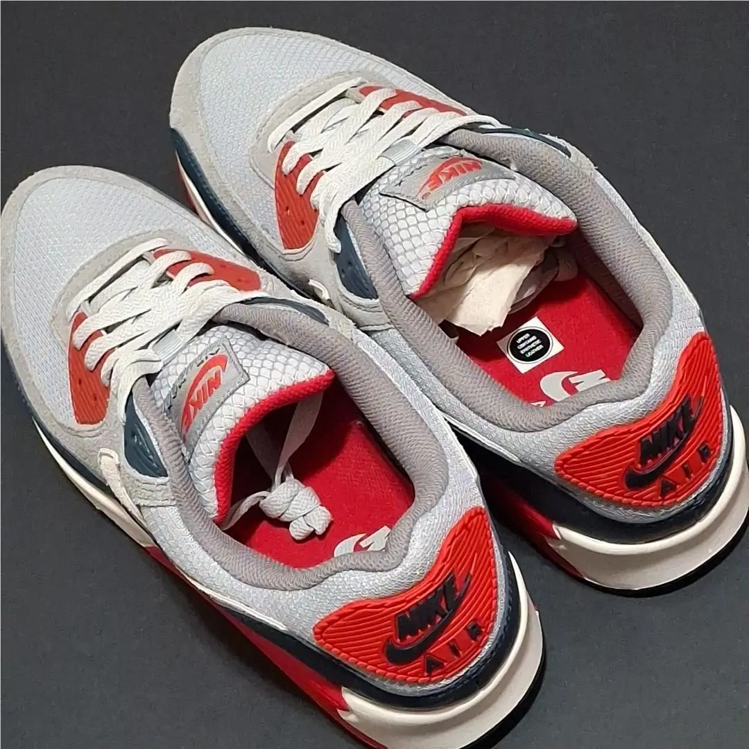 Nike shoes - Nike Air Max 90 - Air Max - DM0029-005 - Gray 0