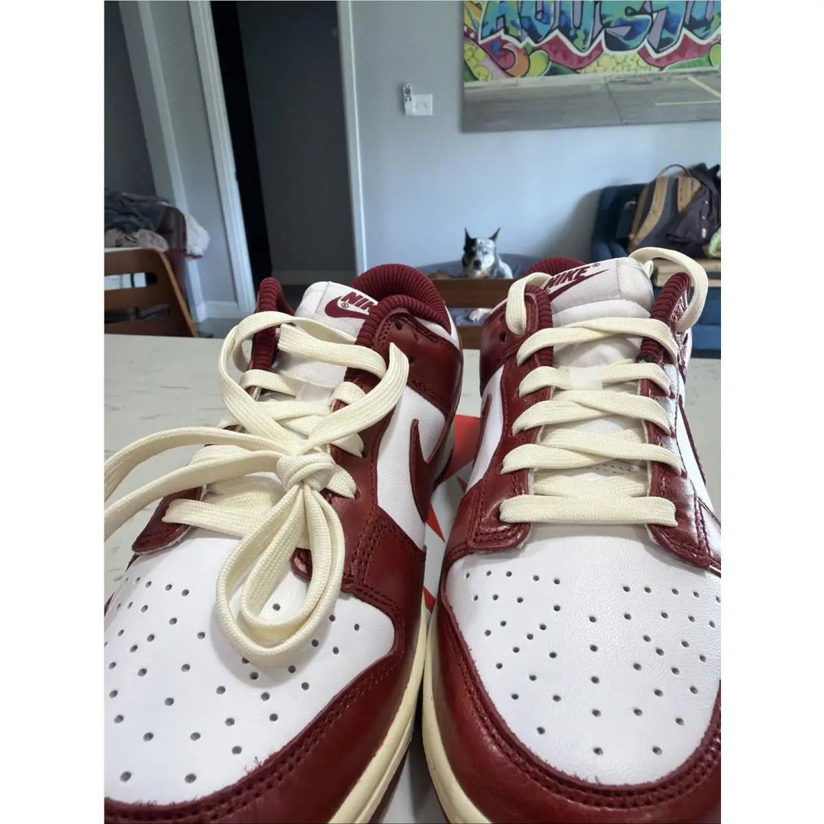Nike shoes - Nike Dunk Low PRM - Dunk Low PRM - FJ4555-100 - White / Team Red-Coconut Milk (UPC: 196606099101) 9