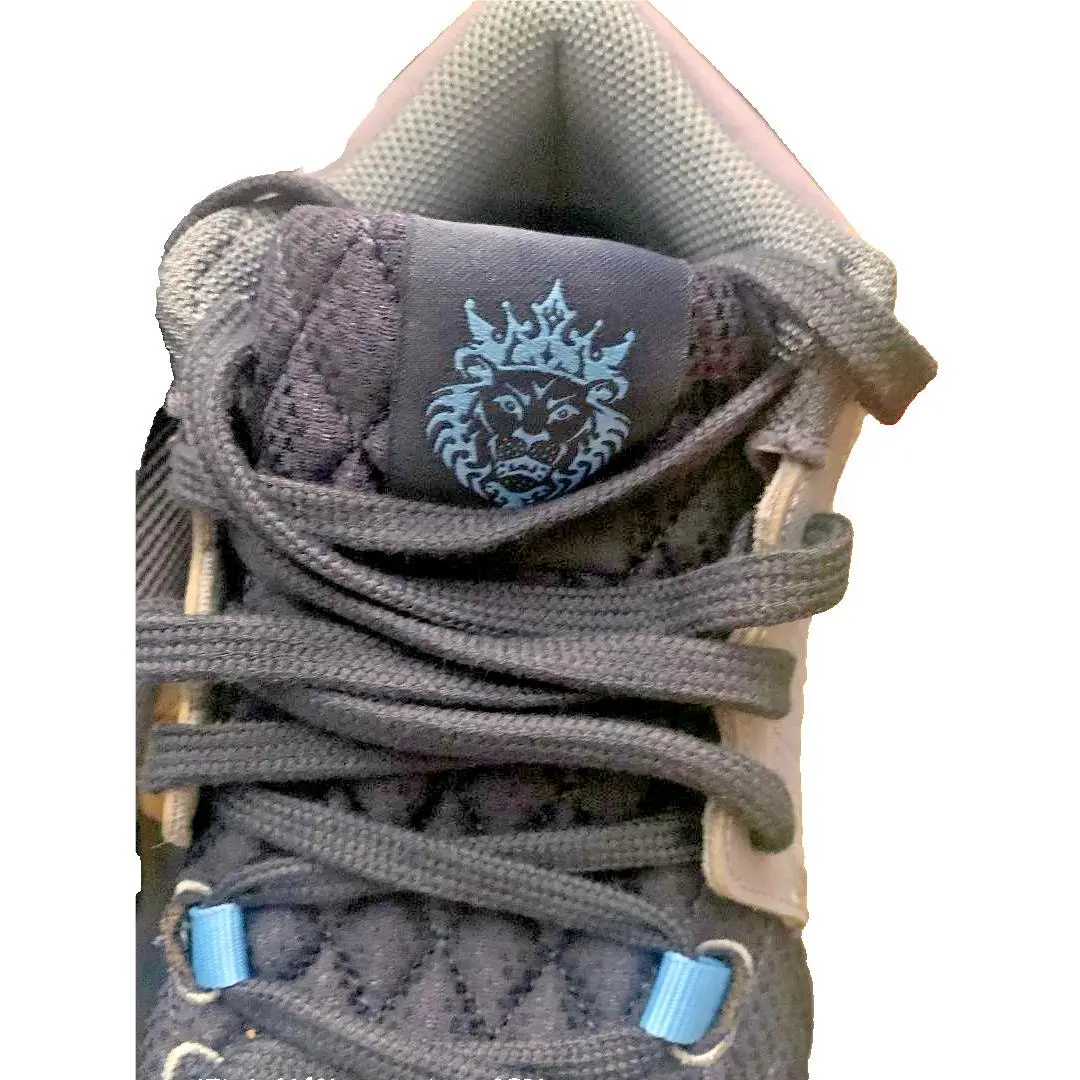 Nike shoes - Nike LeBron Witness - LeBron Witness - FB2239-400 - Blue 1