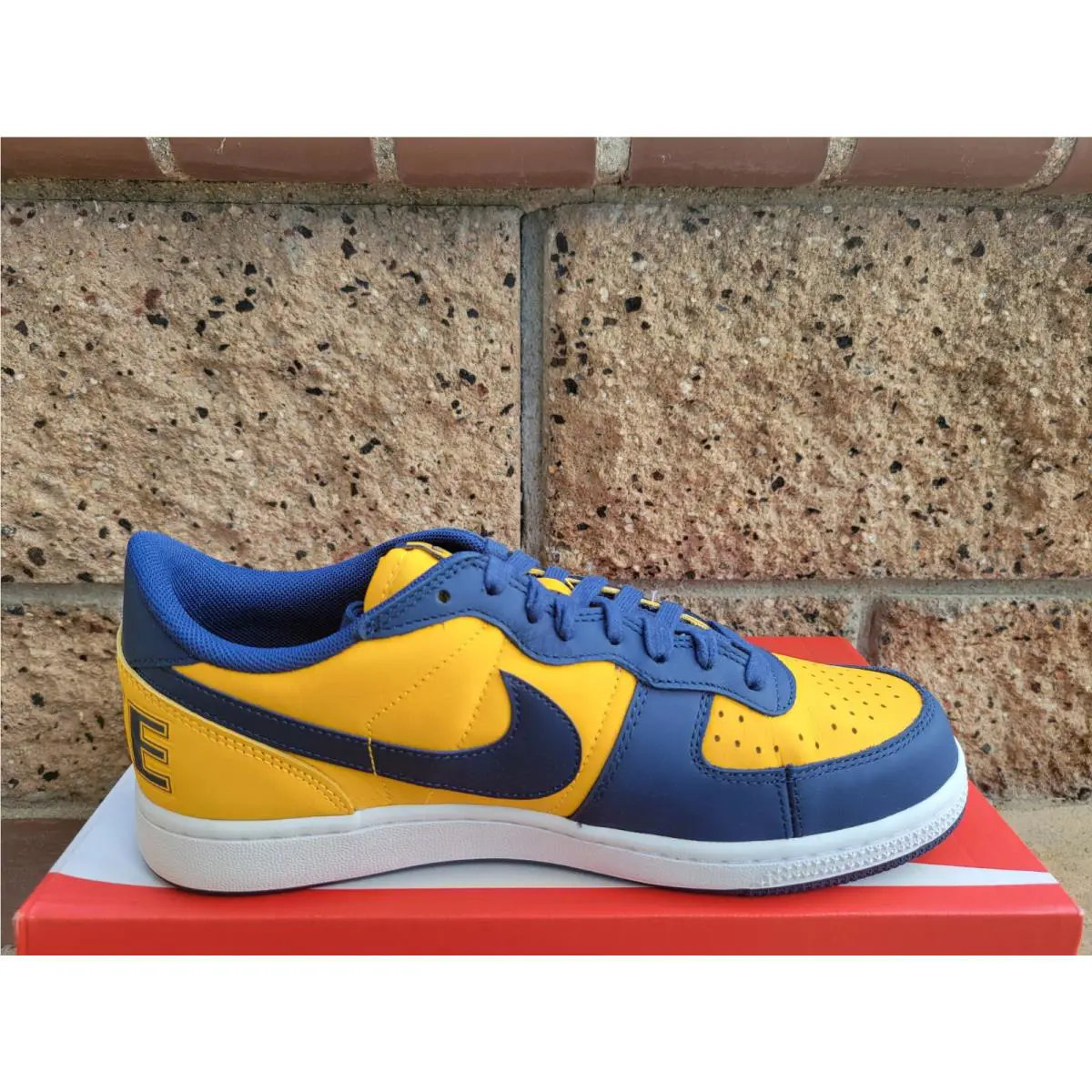 Nike shoes - Nike Terminator - Terminator - FJ4206-700 - Gold 0