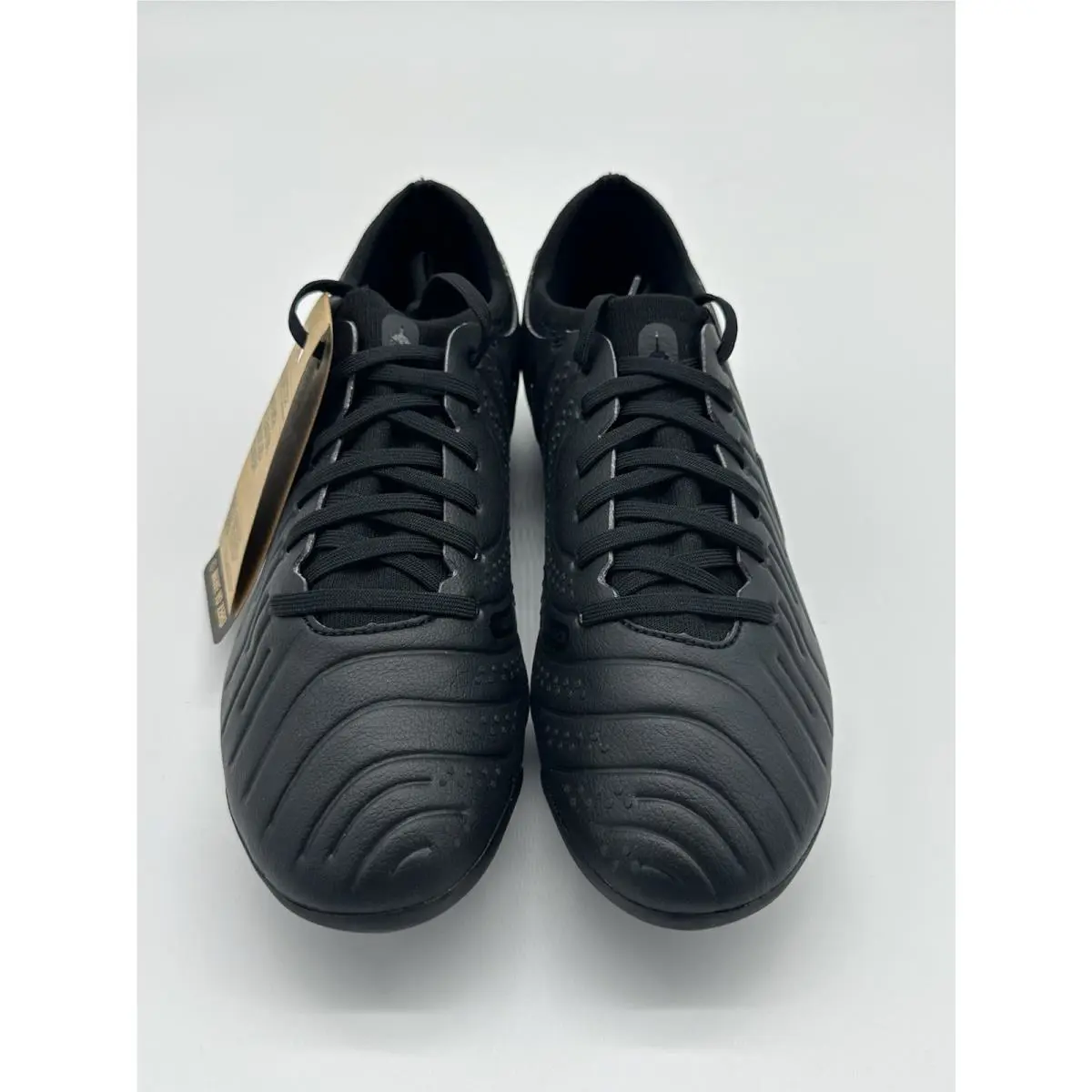 Nike shoes - Nike Legend 10 Pro FG - DV4333-002 - Black (UPC: 197597386911) 3
