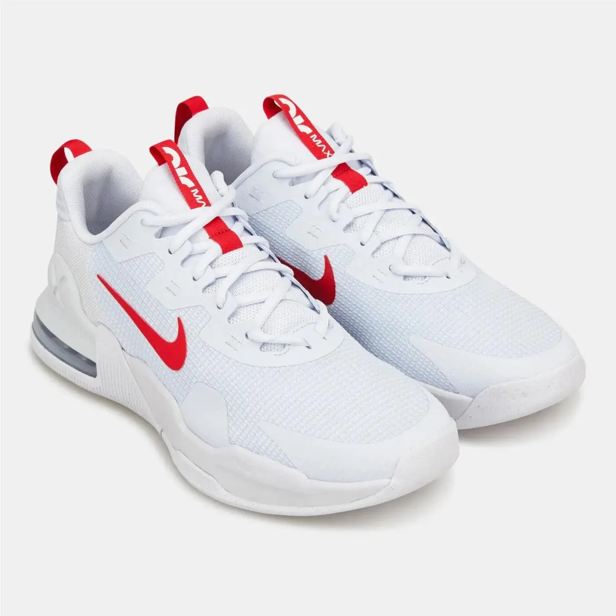 Nike shoes - Nike Air Max Alpha - Air Max Alpha - DM0829-012 - Gray (UPC: 196968969289) 0