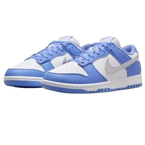 Nike shoes - Nike Dunk - Dunk - DD1873-402 - Blue 1