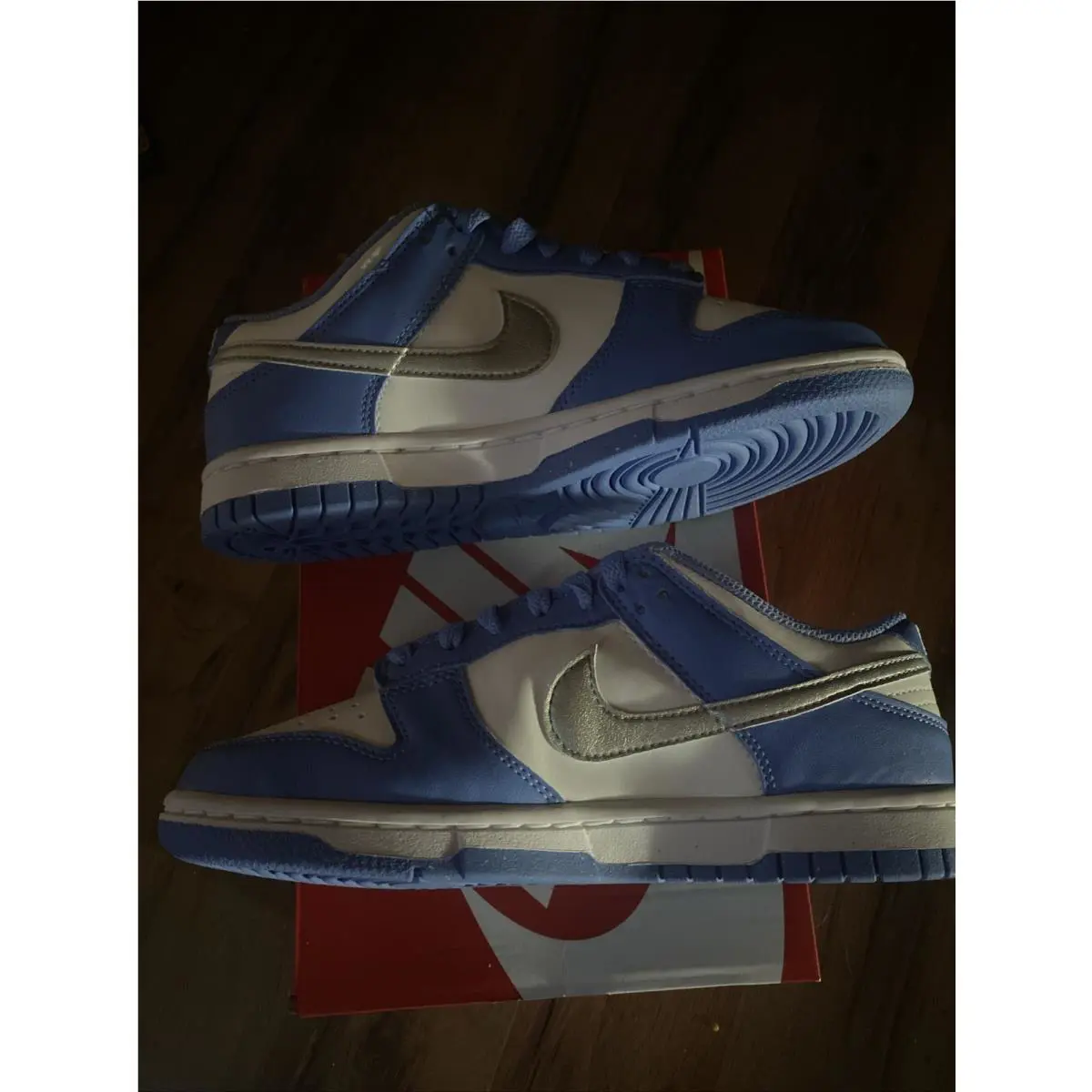 Nike shoes - Nike Dunk Low - Dunk Low - DD1873-402 - Blue 1