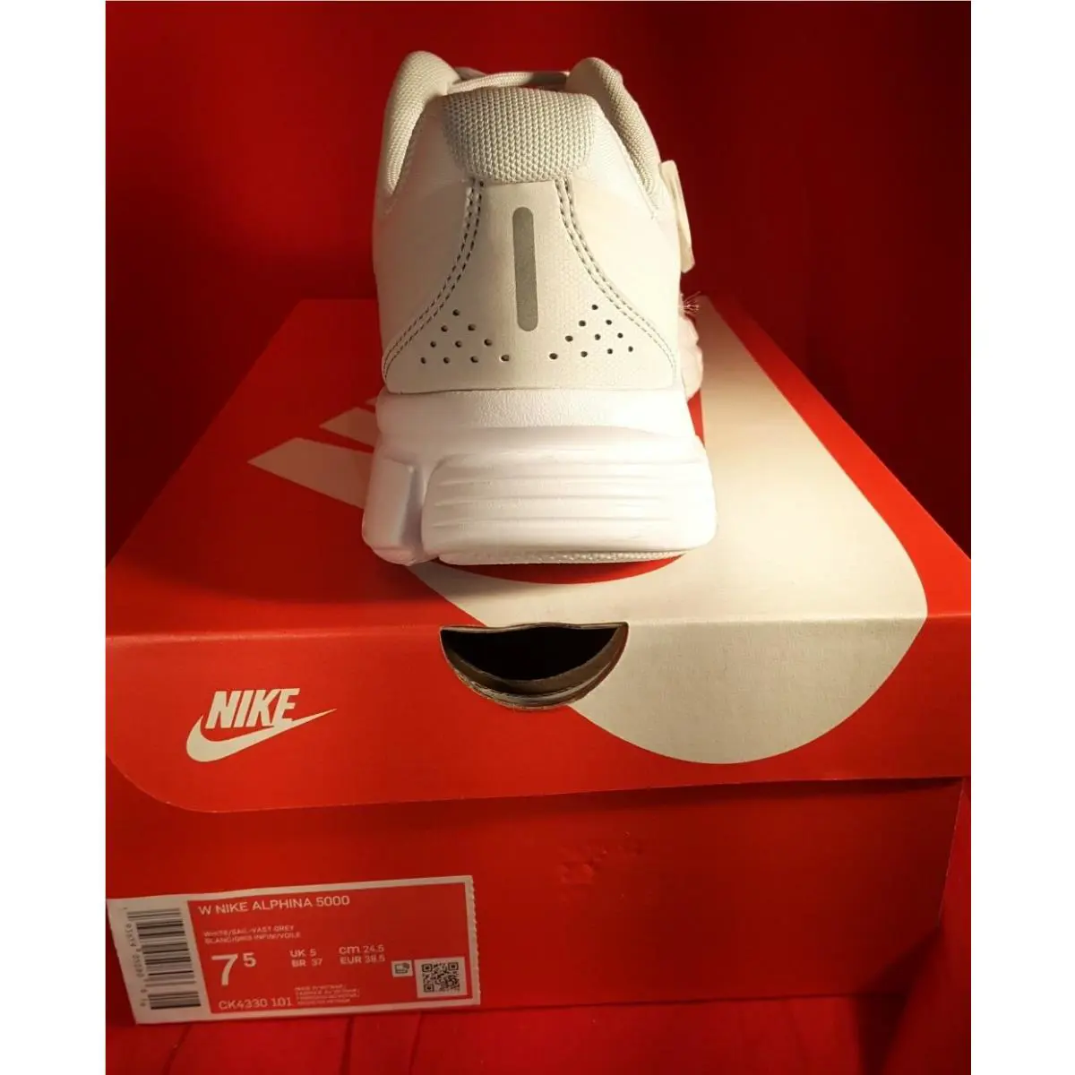 Nike shoes - Nike Alphina 5000 - Alphina - CK4330-101 - Gray 4
