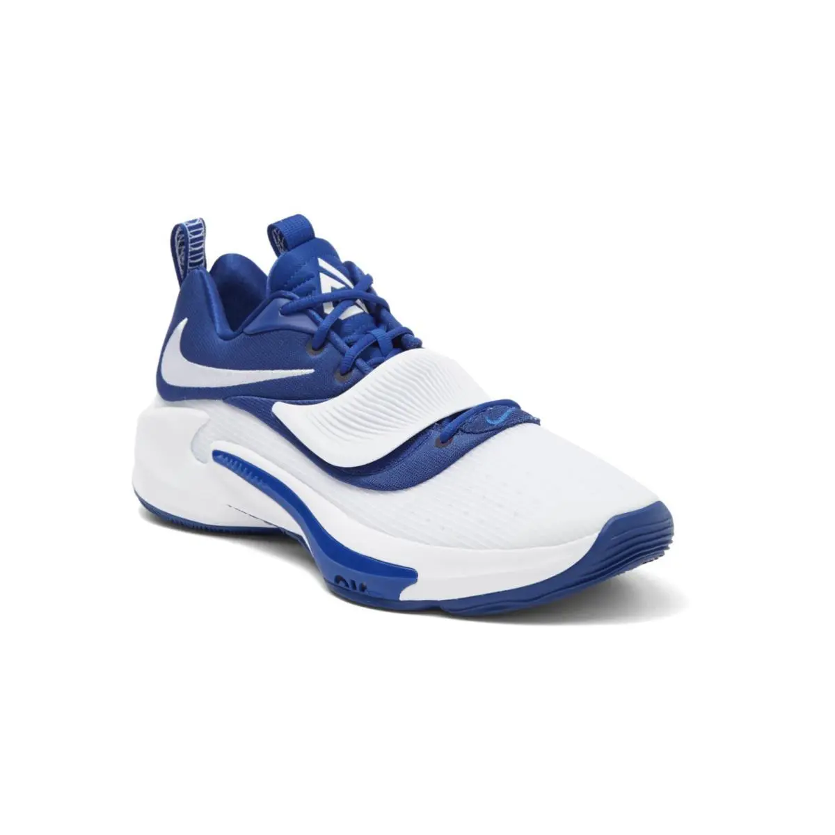 Nike shoes - Nike Zoom Freak - Zoom Freak - DM7378 - Blue 0