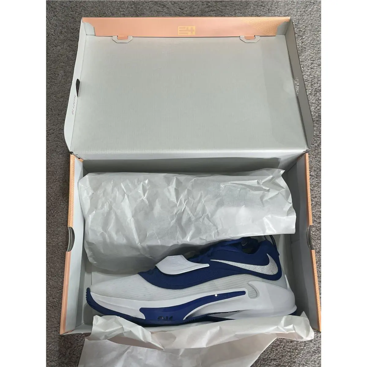 Nike shoes - Nike Zoom Freak - Zoom Freak - DM7378 - Blue 3