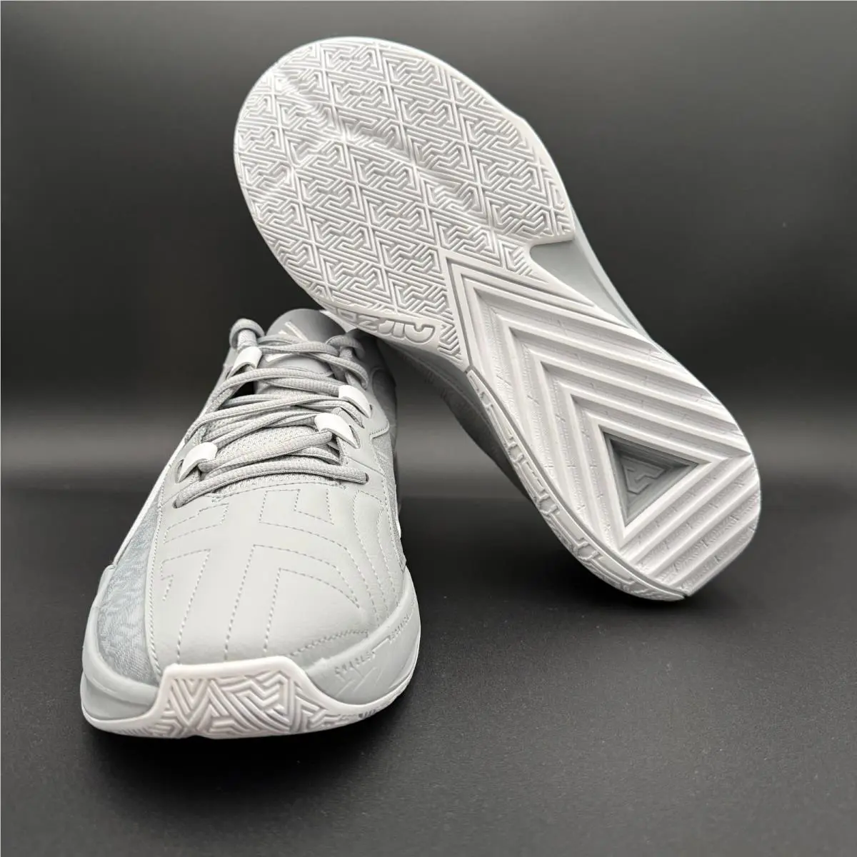 Nike shoes - Zoom Freak 5 TB - Zoom Freak - DZ2946-002 - Gray 4