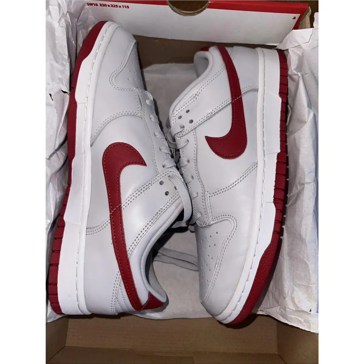 Nike shoes - Nike Dunk - Dunk - FJ0832-011 - Gray 12