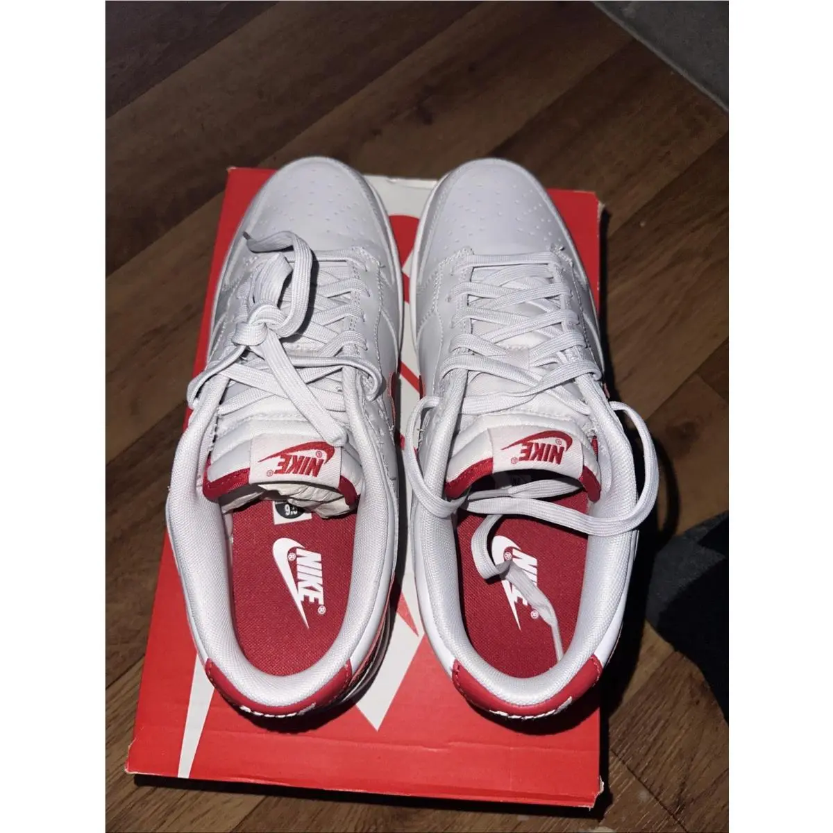 Nike shoes - Nike Dunk - Dunk - FJ0832-011 - Gray 2