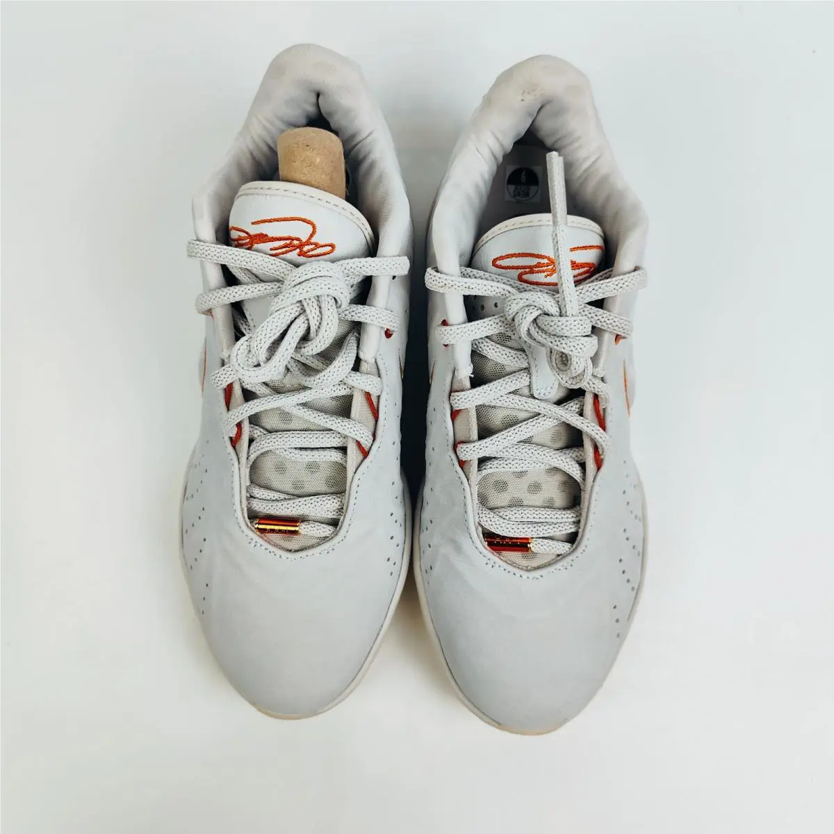 Nike shoes - Nike LeBron - LeBron - FV2345-001 - Light Bone/Coconut Milk/Dark Russet 8