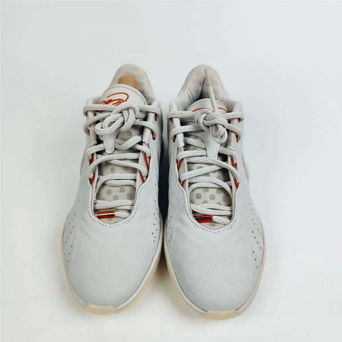 Nike shoes - Nike LeBron - LeBron - FV2345-001 - Light Bone/Coconut Milk/Dark Russet 9
