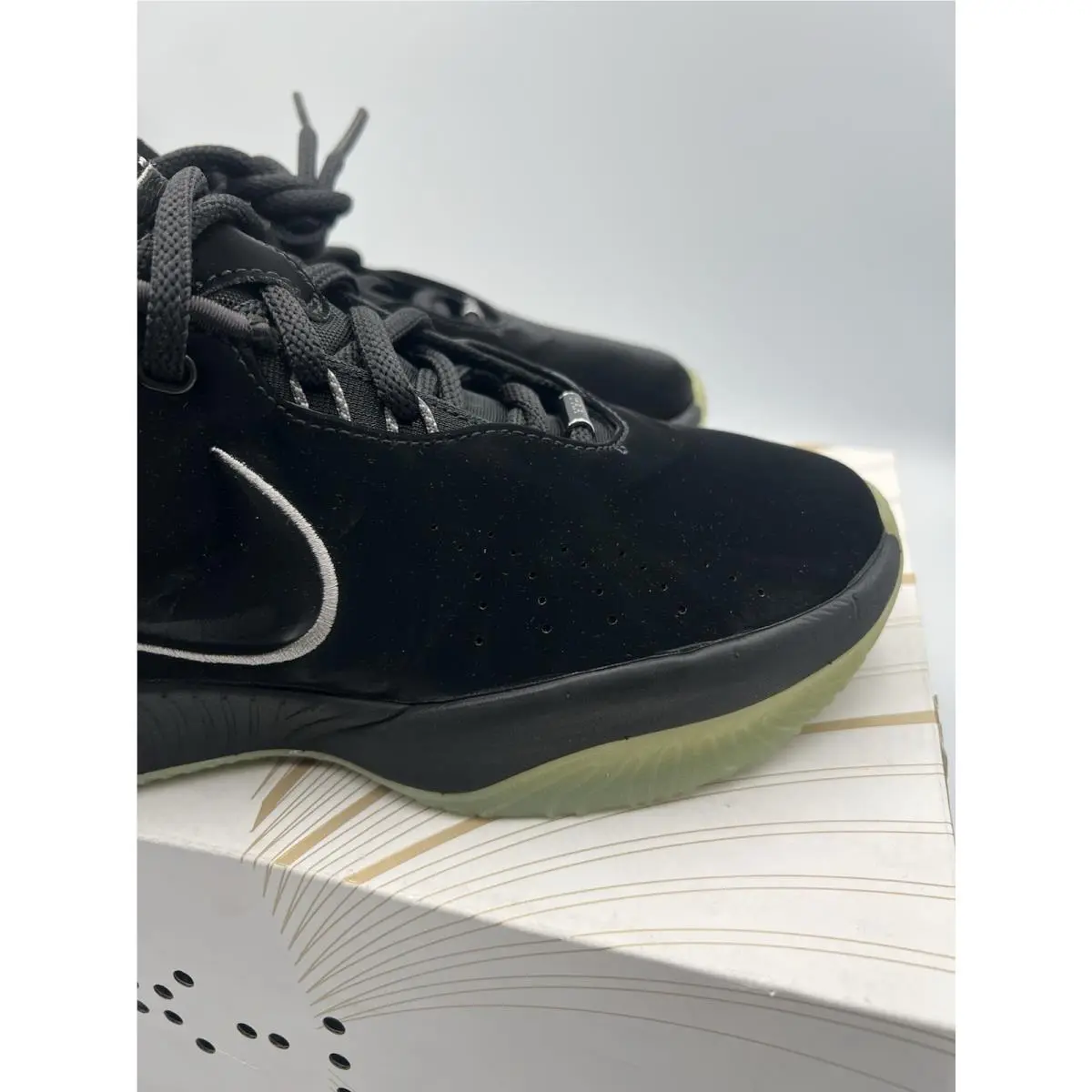 Nike shoes - Nike LeBron 21 - LeBron - FB2238-001 - Black 2