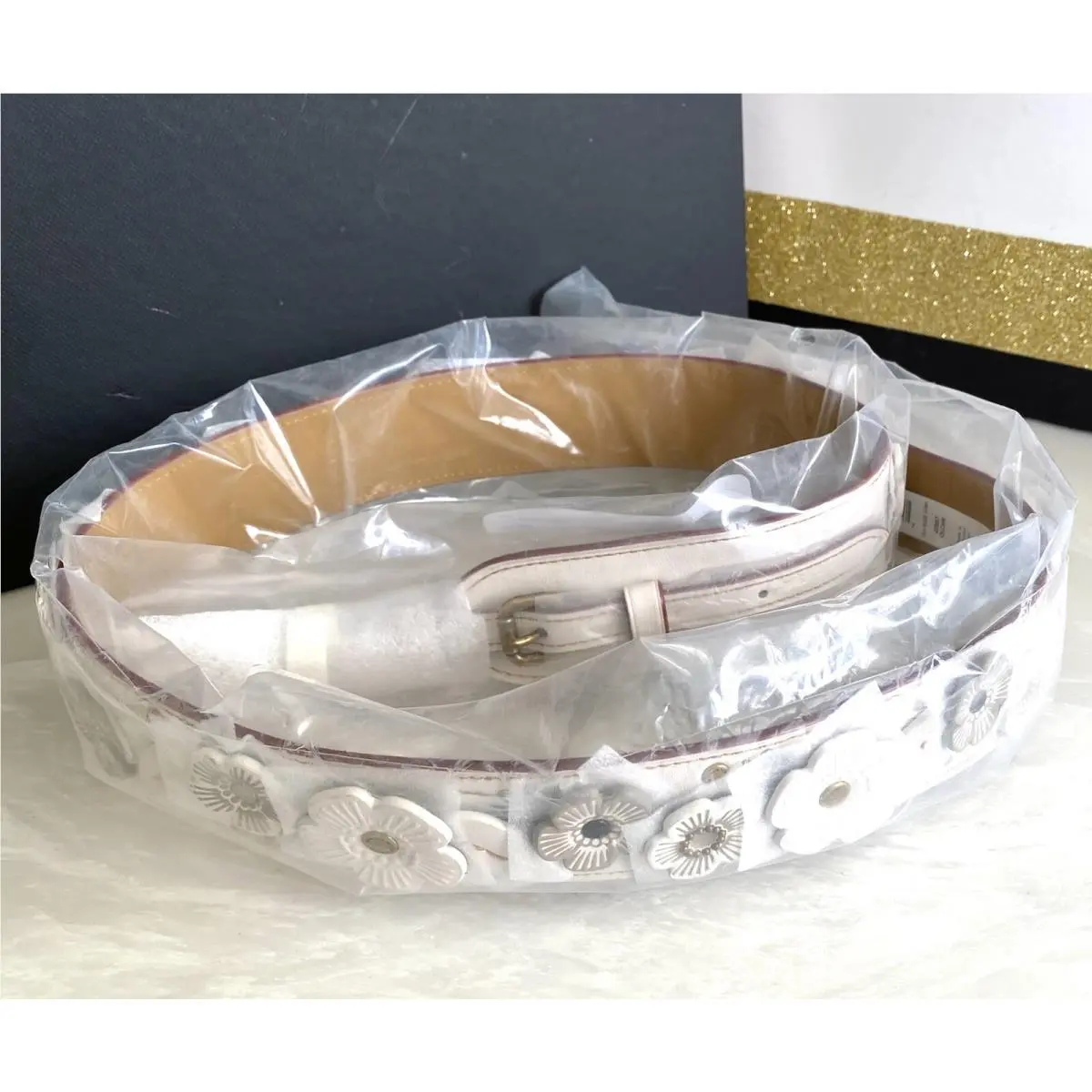 Coach Chalk Tea Rose Novelty Strap Brass 22887