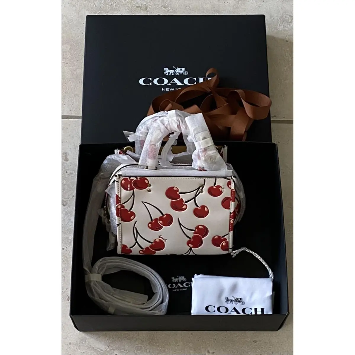 Coach Mini Rogue 17 Cherry Print Chalk/multi Leather CB652