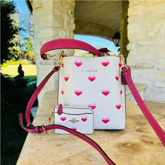 Coach Limited Edition Mollie Bucket Bag Large Zip Card Case with Heart