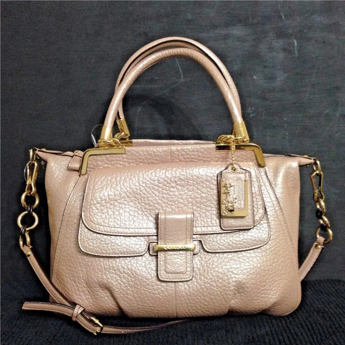 Coach Madison Pinnacle Italian Pebbled Leather Lilly Bag. Limited Edition