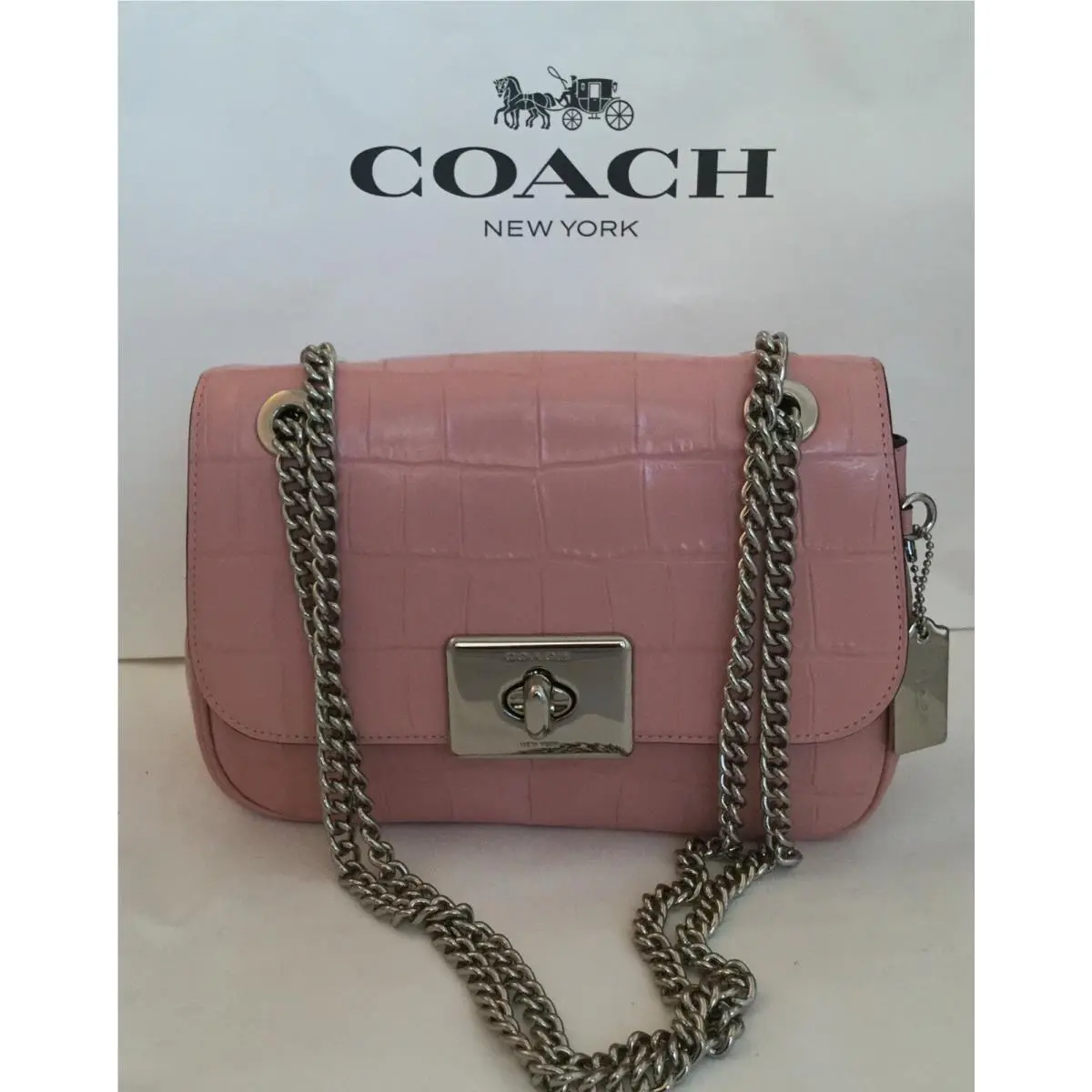 Coach F38081 Embossed Crocodile Cassidy Chain Crossbody Handbag Sv/petal