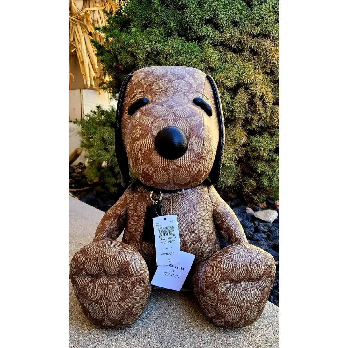 Guaranteed Coach X Peanuts Snoopy Bear Dog