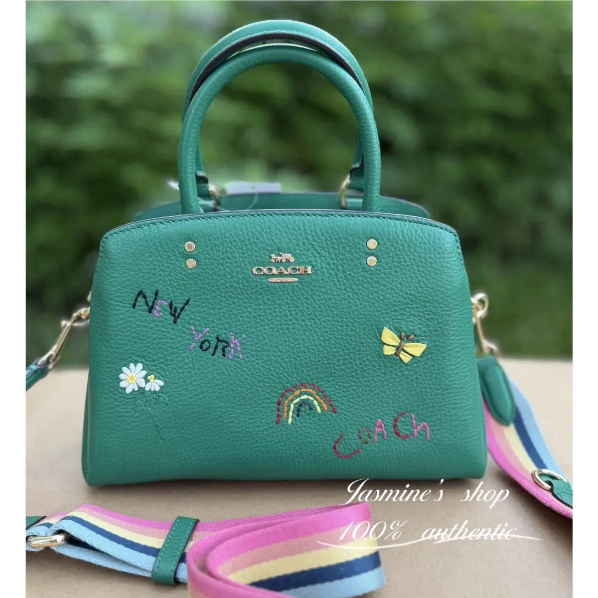 Coach Mini Lillie Carryall with Diary Embroidery C8364