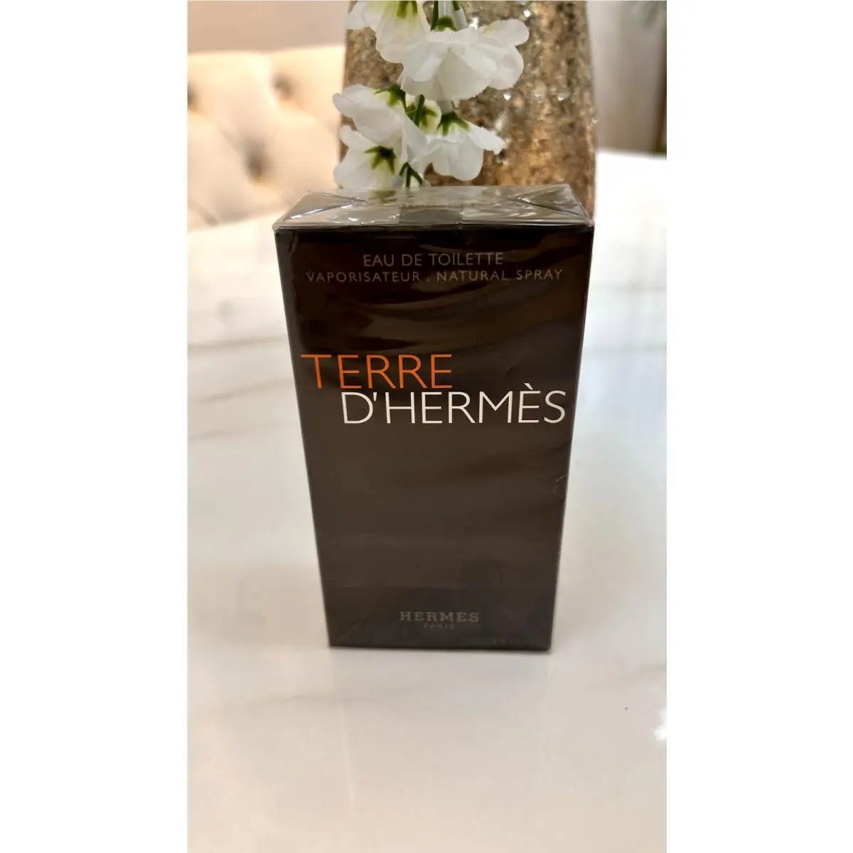 Hermes Terre D`hermes 100 ML Edt Spray