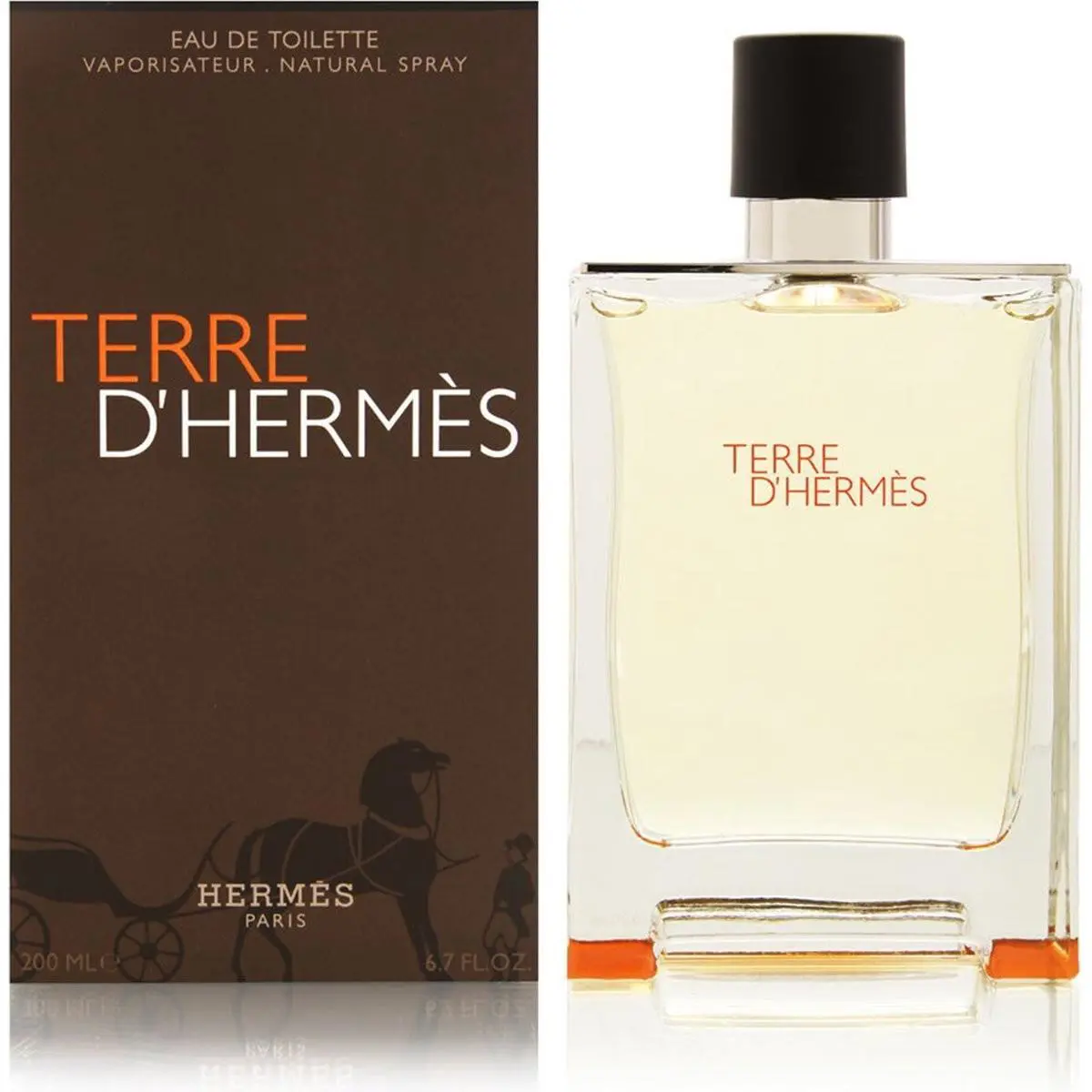 Terre D`hermes by Hermes For Men Eau de Toilette Spray 6.7 oz