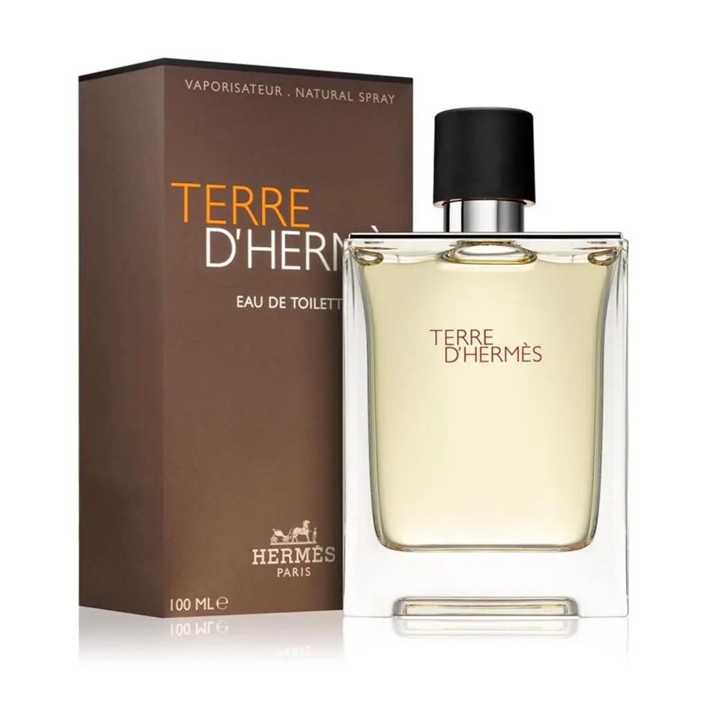 Terre D`hermes by Hermes Edt Spray 3.3 fl Oz