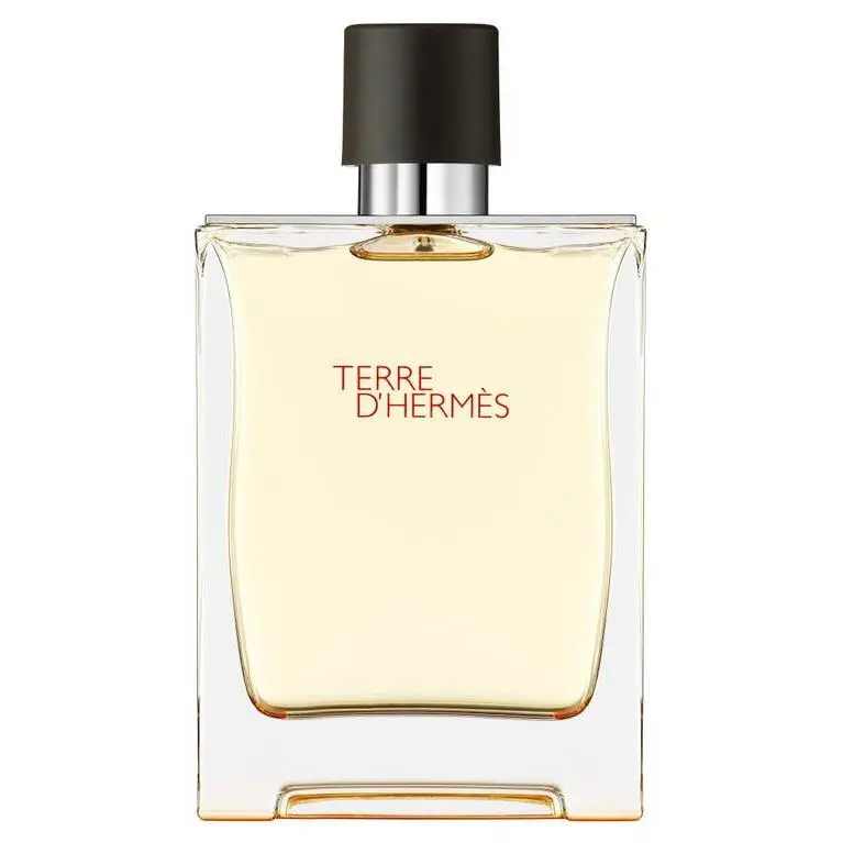 Hermes Terre D` Hermes Eau de Toilette For Men Spray 6.7 Oz