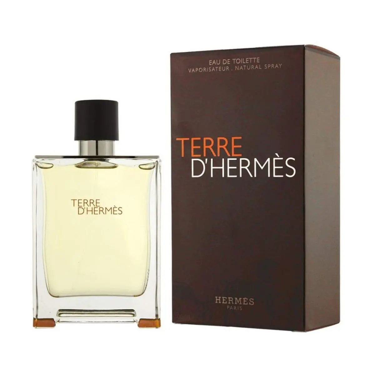 Terre D`hermes by Hermes For Men 6.7 oz oz Eau de Toilette Spray