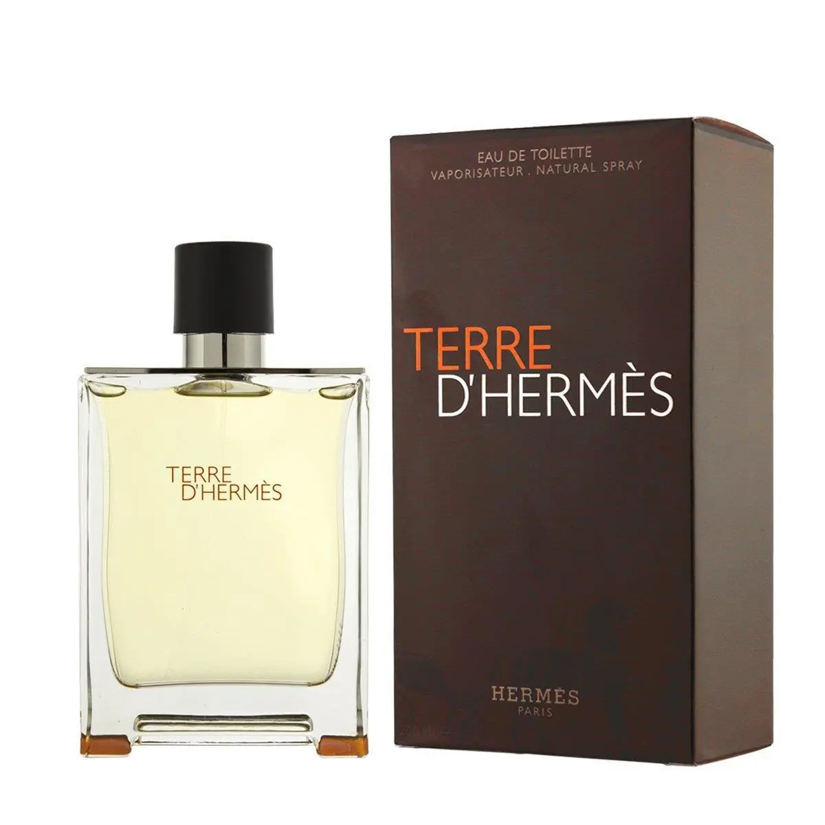 Terre D`hermes by Hermes For Men Eau De Toilette 3.3 oz/100ml Spray