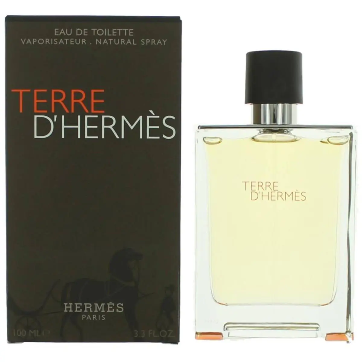 Hermes Men`s Eau De Toilette Spray Terre World of Earthy Enchantment 3.3 oz