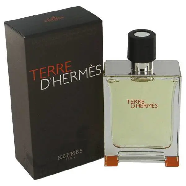 Terre D`hermes BY Hermes Edt Spray 3.3 OZ Bottle For Men