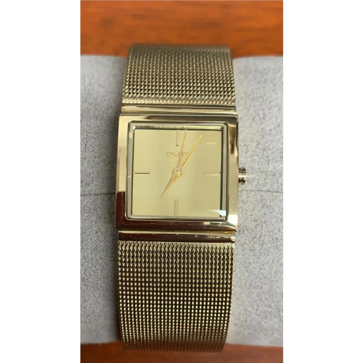 Dkny Women`s Mirror Dial Steel Mesh Gold-tone Watch NY2113