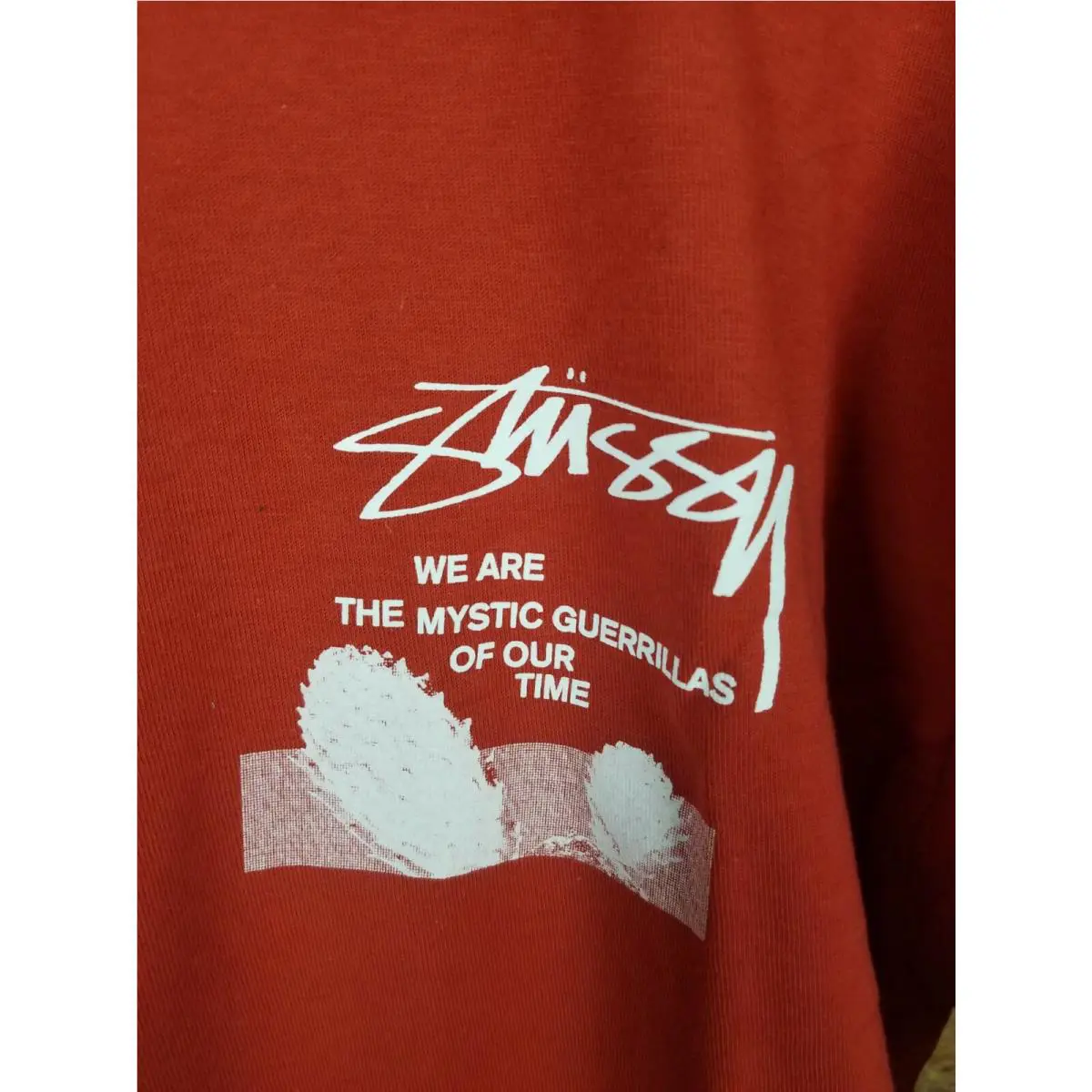 Stussy  clothing - Stussy Desert Sky - Desert Sky - brick red 0