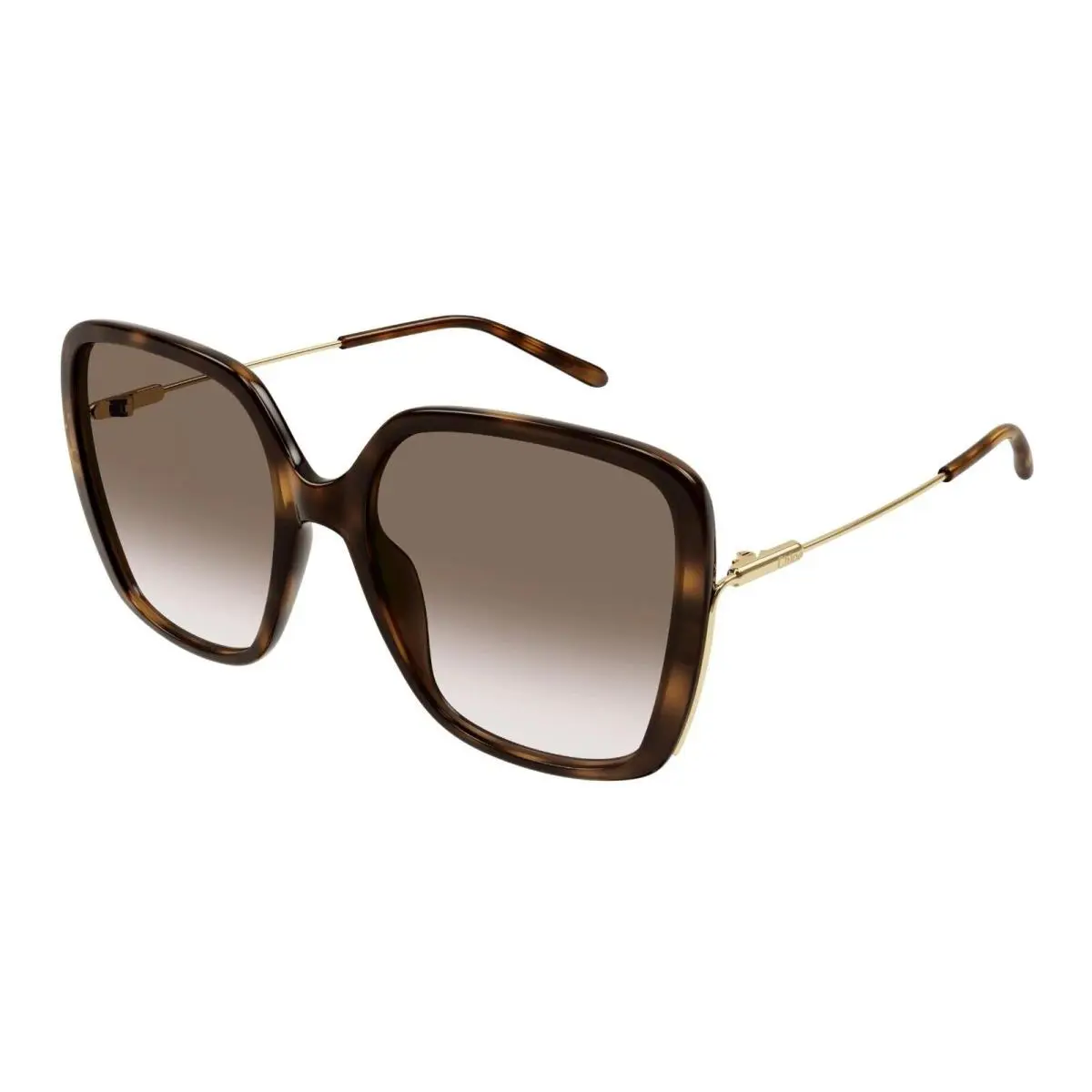 Bvlgari Chlo CH0173S Havana Gold/brown Shaded 002 Sunglasses
