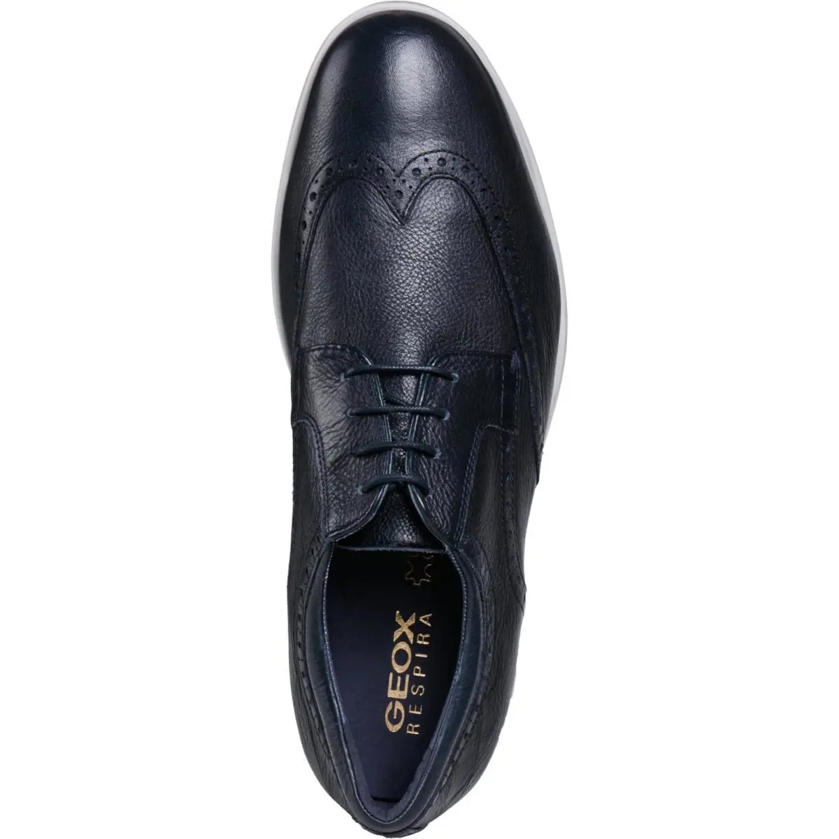 Geox shoes - Navy 3