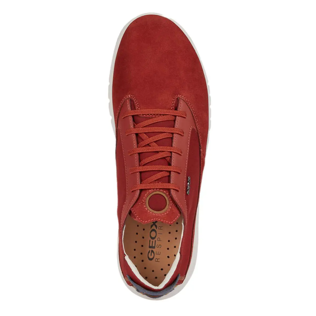 Geox shoes - U Aerantis A - Aerantis - U927FA02211C6007 - Cigar (UPC: 8054730169614) 3