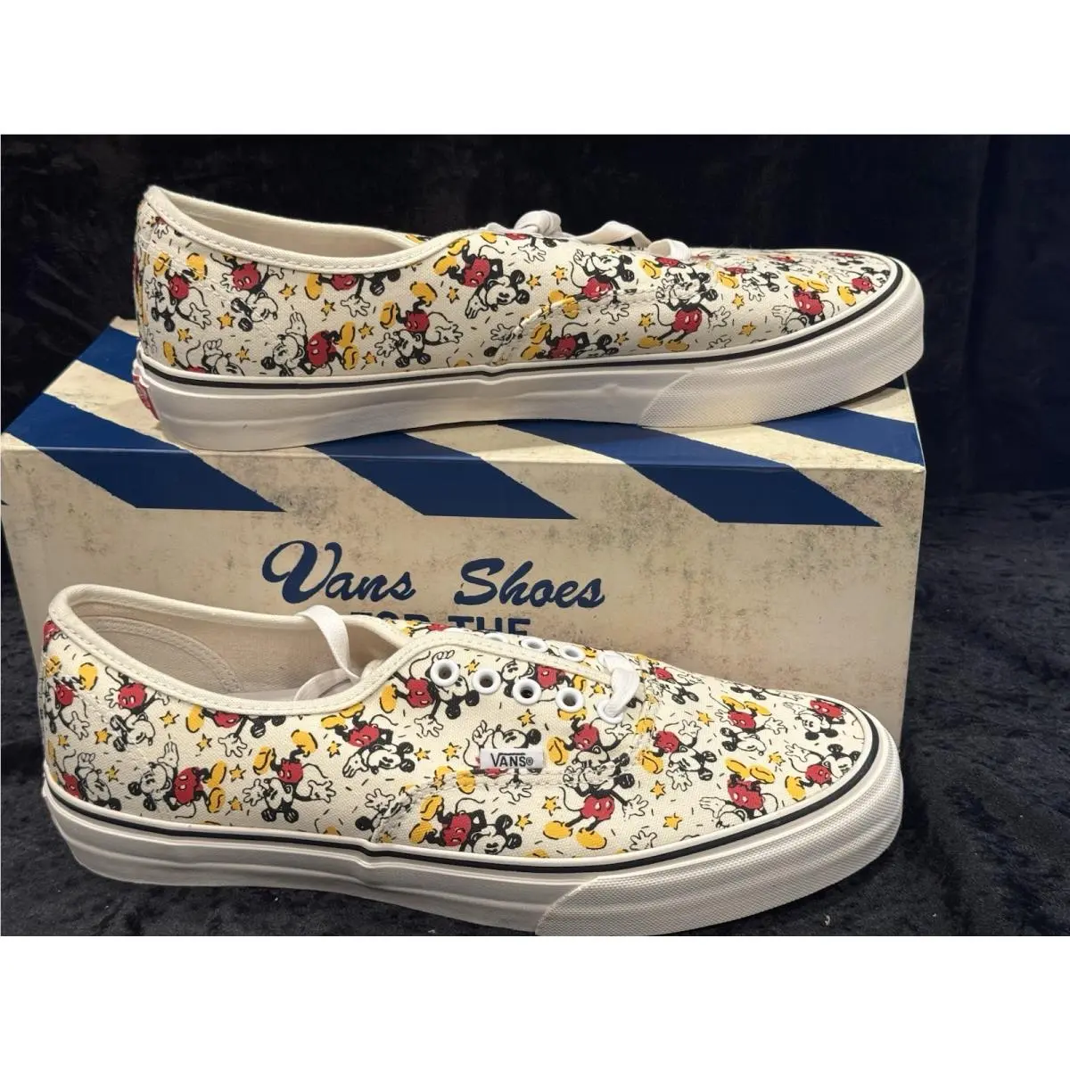 Vans shoes - VANS Authentic - Authentic - VN0UDD8P2 - Multicolor 2