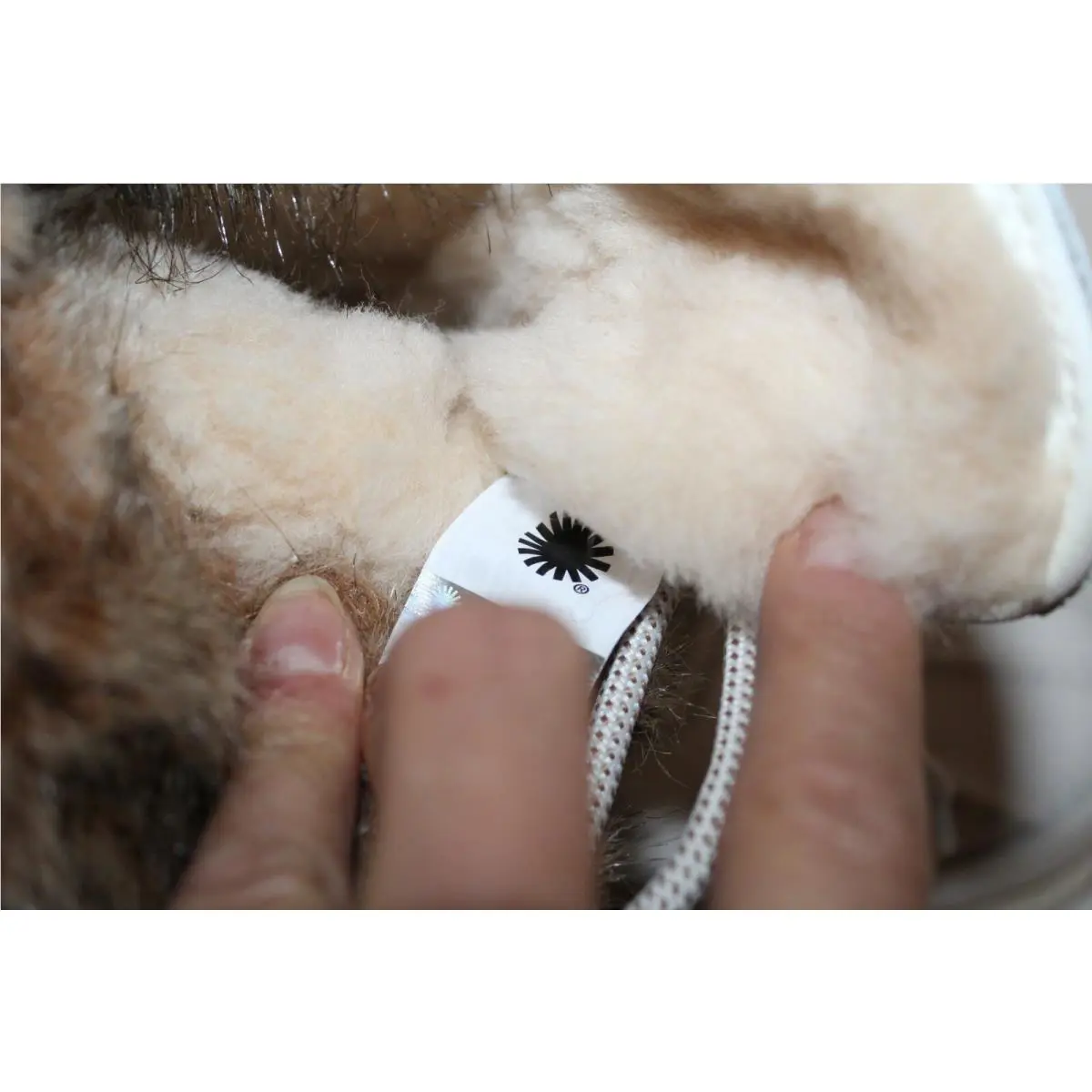UGG shoes - UGG Australia Adirondack - Australia Adirondack - White 6