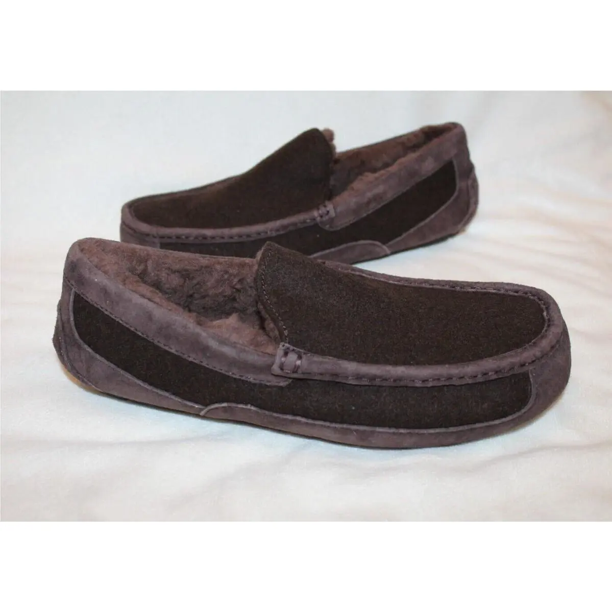 UGG shoes - ASCOT - ASCOT - Brown 0