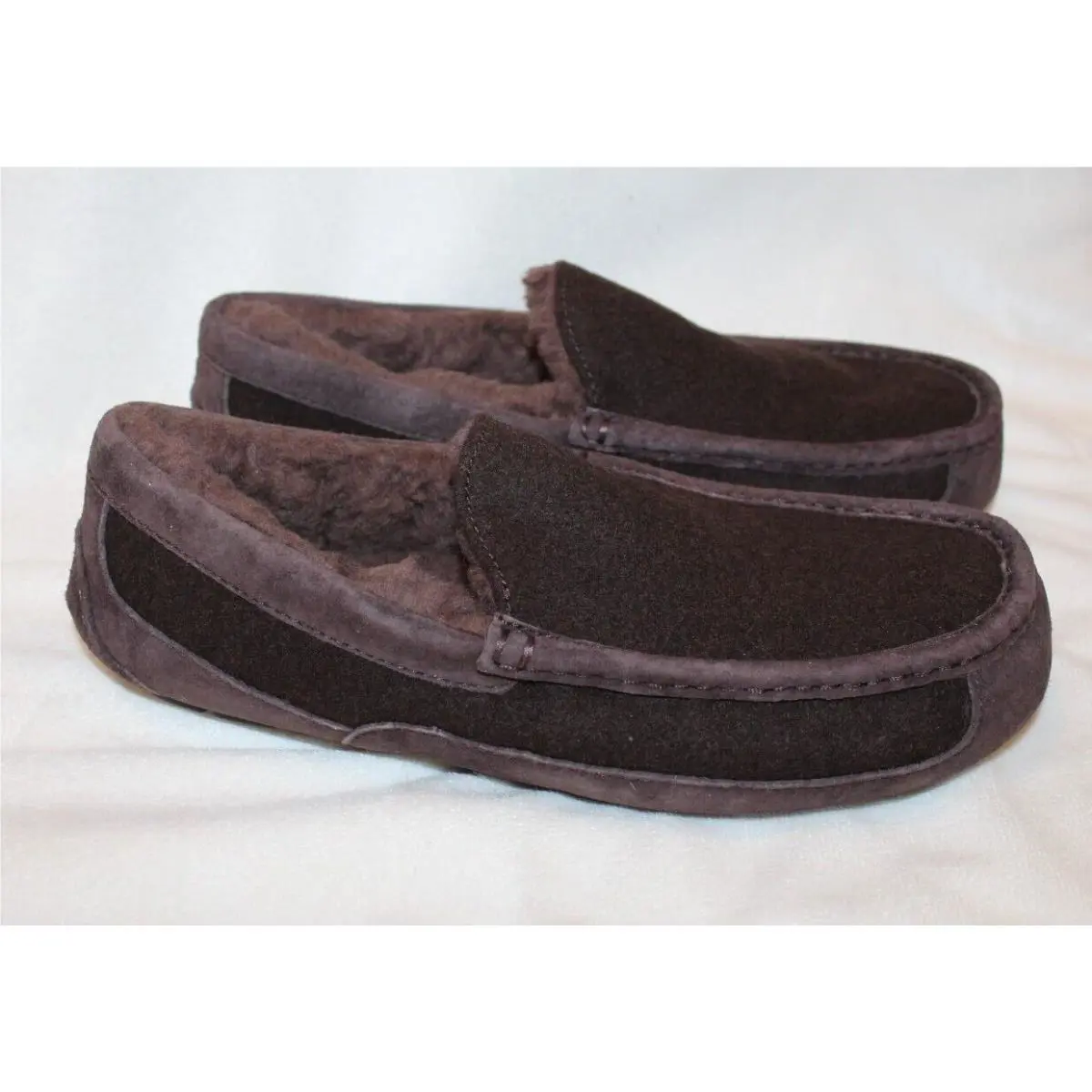 UGG shoes - ASCOT - ASCOT - Brown 7