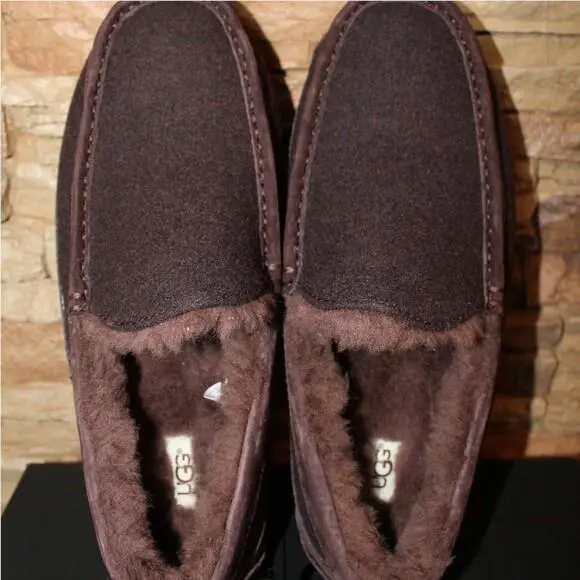 UGG shoes - ASCOT - ASCOT - Brown 1